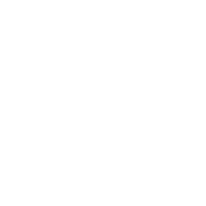 icons8-call-100